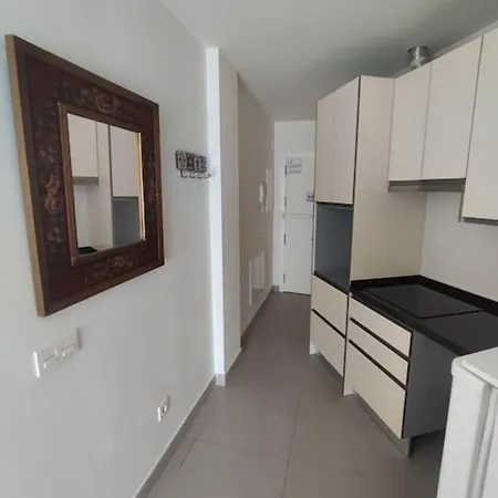 Apartment Nuevo Estudio Con Parking Gratis